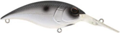 Berkley Money Badger Deep Diving Trolling Plug / Crankbait -Sport Fishing Shop 40326922993753