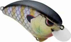 SPRO Outsider SR 55 Crankbait -Sport Fishing Shop 40342470099033