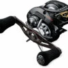 Daiwa Zillion TW HD Baitcasting Reel