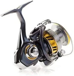 Daiwa Regal LT Spinning Reel -Sport Fishing Shop 418E3HhhrIL. AC