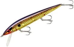 Smithwick Elite 8 Rogue 4 1/2 Inch Suspending Jerkbait -Sport Fishing Shop ADR4213