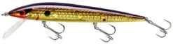 Smithwick Elite 8 Rogue 4 1/2 Inch Suspending Jerkbait -Sport Fishing Shop ADR4213 427dcaa6 8bc9 4645 9527 5e6203b63ad1
