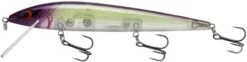 Smithwick Elite 8 Rogue 4 1/2 Inch Suspending Jerkbait -Sport Fishing Shop ADR4282