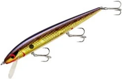 Smithwick Perfect 10 Rogue 5 1/2 Inch Deep Diving Suspending Jerkbait -Sport Fishing Shop ADR5213