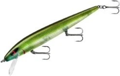 Smithwick Perfect 10 Rogue 5 1/2 Inch Deep Diving Suspending Jerkbait -Sport Fishing Shop ADR5281