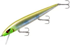 Smithwick Perfect 10 Rogue 5 1/2 Inch Deep Diving Suspending Jerkbait -Sport Fishing Shop ADR5283