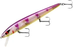 Smithwick Perfect 10 Rogue 5 1/2 Inch Deep Diving Suspending Jerkbait -Sport Fishing Shop ADR5289
