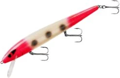 Smithwick Perfect 10 Rogue 5 1/2 Inch Deep Diving Suspending Jerkbait -Sport Fishing Shop ADR5293