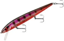 Smithwick Perfect 10 Rogue 5 1/2 Inch Deep Diving Suspending Jerkbait -Sport Fishing Shop ADR5294