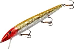 Smithwick Suspending Super Rogue 5 Inch Jerkbait -Sport Fishing Shop ASDRD1235