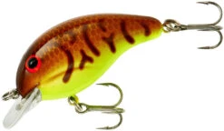 Bandit 100 Series Shallow Diving Crankbait -Sport Fishing Shop BDT141 copy