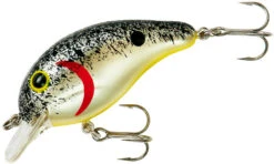 Bandit 100 Series Shallow Diving Crankbait -Sport Fishing Shop BDT143 copy