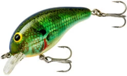 Bandit 100 Series Shallow Diving Crankbait -Sport Fishing Shop BDT1B38