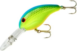 Bandit 300 Series Deep Diving Crankbait -Sport Fishing Shop BDT336
