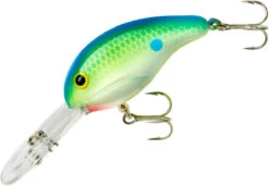 Bandit 300 Series Deep Diving Crankbait -Sport Fishing Shop BDT3D01