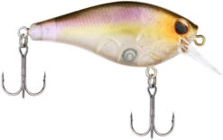 Berkley SquareBull 2 3/8 Inch Shallow Squarebill Crankbait -Sport Fishing Shop Berkley Squarebull GhostMorningDawn 55 alt2 2000