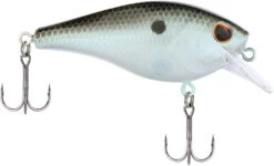 Berkley SquareBull 2 3/8 Inch Shallow Squarebill Crankbait -Sport Fishing Shop Berkley Squarebull GreenShad 35 alt2 2000