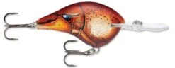 Rapala DT Series Crankbait DT14 -Sport Fishing Shop Blaze f03eee2b bfa0 4ce1 9cb1 eee376c4ebd0