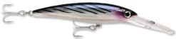 Rapala X-Rap Magnum 15 Big Game Slash Bait -Sport Fishing Shop Bonito 82ea1062 093f 4bc7 9acb 241dea77257f