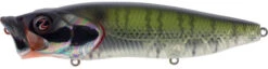 River2Sea Bubble Walker 128 Topwater Walker/Popper -Sport Fishing Shop BubbleWalker28Bluegill 911da67d d671 4ab7 8c0d 8c31d5a84982