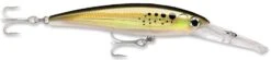 Rapala X-Rap Magnum 15 Big Game Slash Bait -Sport Fishing Shop Bunker 8b9dd726 694e 41a9 997e 2323dcbbe37b