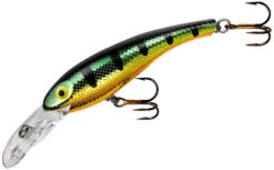 Cotton Cordell Wally Diver Crankbait 37 Cotton Cordell Wally Diver Crankbait -Sport Fishing Shop CD695