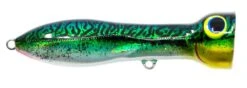 Nomad Design Chug Norris Freshwater/Inshore Popper 37 Nomad Design Chug Norris Freshwater/Inshore Popper -Sport Fishing Shop CHUG95 SGM