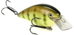 Strike King KVD Magnum Square Bill 8.0 Silent Crankbaits -Sport Fishing Shop Chartreuse Perch d51405e2 a3ae 4d2a a6cf d3517b8f127c
