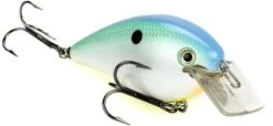 Strike King KVD Magnum Square Bill 8.0 Silent Crankbaits -Sport Fishing Shop Citrus Shad 869b0422 4e0f 4090 ae67 8d939a4c915e