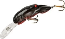Rebel Deep Wee Crawfish Lure 2 3/8 Inch Medium Diving Crankbait 15 Rebel Deep Wee Crawfish Lure 2 3/8 Inch Medium Diving Crankbait -Sport Fishing Shop D7640