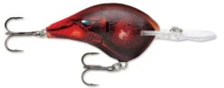 Rapala DT Series Crankbait DT14 -Sport Fishing Shop Delta 6fd43553 7b93 4215 9088 e2998caefaee