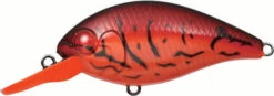 Evergreen International CR-6 Medium Diving Crankbait -Sport Fishing Shop EVG CR 6 64 Fire Craw