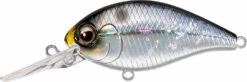 Evergreen International CR-6 Medium Diving Crankbait -Sport Fishing Shop Evergreen CR 209