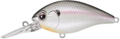 Evergreen International CR-6 Medium Diving Crankbait -Sport Fishing Shop Evergreen CR 362