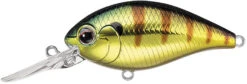 Evergreen International CR-6 Medium Diving Crankbait -Sport Fishing Shop Evergreen CR 374