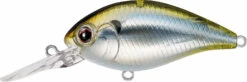 Evergreen International CR-6 Medium Diving Crankbait -Sport Fishing Shop Evergreen CR 426