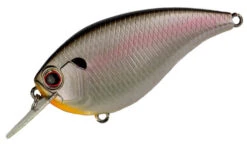 Evergreen International Flat Force 4 Flat-Sided Shallow Diving Crankbait 22 Evergreen International Flat Force 4 Flat-Sided Shallow Diving Crankbait -Sport Fishing Shop FF 4 362