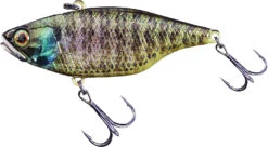 Jackall TN 60/70 Disc Knocker Lipless Crankbait -Sport Fishing Shop FishJackall TN Disk Knocker HOLO BLUEGILL primary
