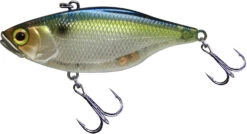 Jackall TN 60/70 Disc Knocker Lipless Crankbait -Sport Fishing Shop FishJackall TN Disk Knocker SG THREADFIN SHAD primary