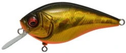 Megabass Knuckle LD Silent Crankbait 2 1/3 Inches -Sport Fishing Shop GG Megabass Kinkuro 87c3d9ee 4b25 4f31 813a a77e3bb707fe