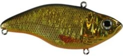 SPRO Aruku Shad Jr. Lipless Crankbait -Sport Fishing Shop Gold Black fc40c856 4318 445c a064 fee66d52012f