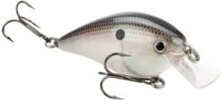 Strike King KVD Magnum Square Bill 8.0 Silent Crankbaits -Sport Fishing Shop Green Gizzard Shad e3fb3e2e 3286 4745 809c 9948c86fe4db