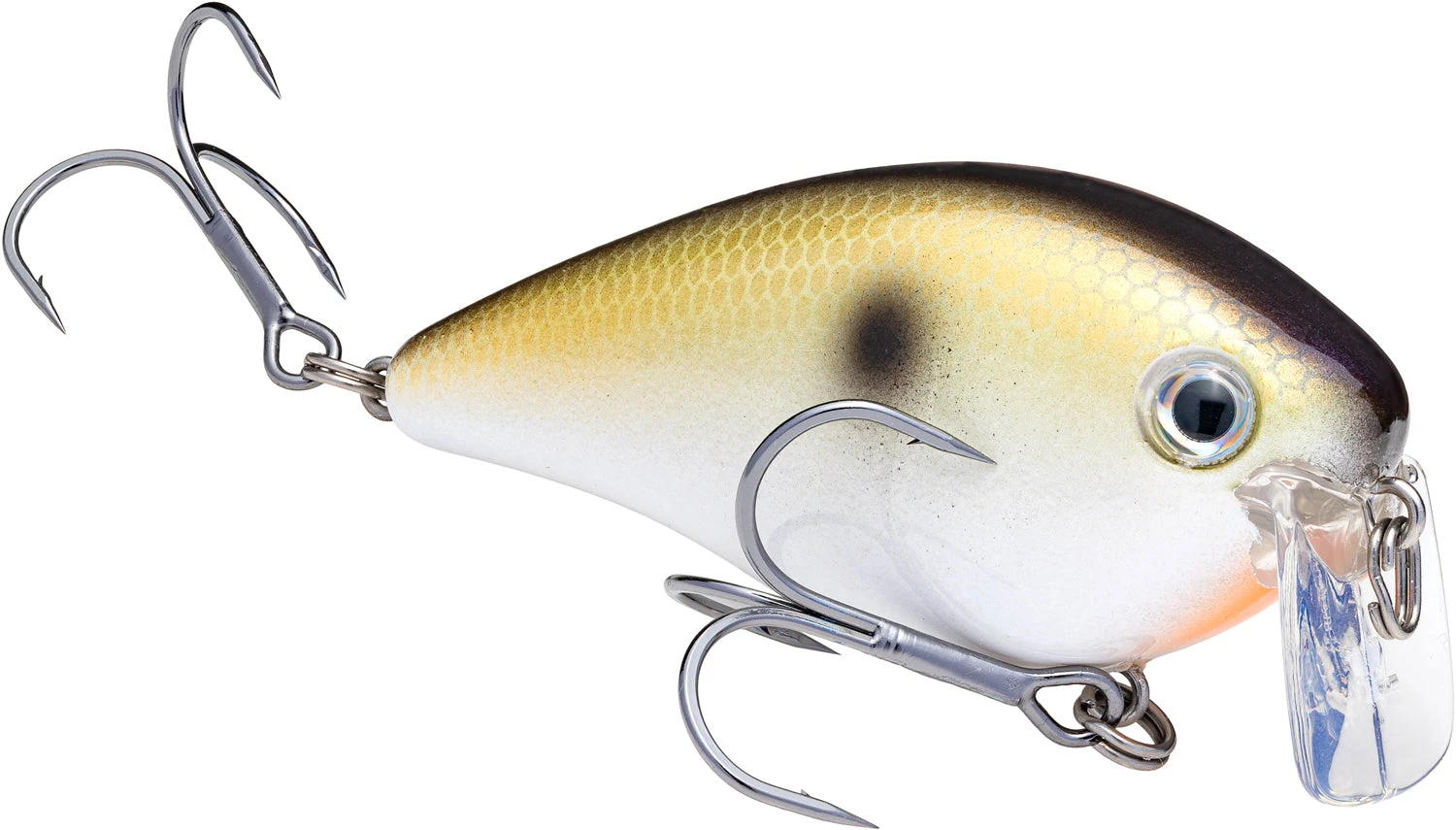 Strike King KVD 2.5 Wake Bait Waking Crankbait 15 Strike King KVD 2.5 Wake Bait Waking Crankbait - Image 15
