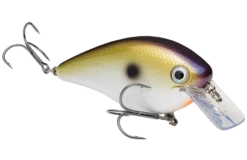 Strike King KVD 4.0 Magnum Shallow Squarebill Crankbait -Sport Fishing Shop HCKVDS4.0 469 KVD4.0Squarebill TNShad2 GlamRight