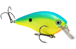 Strike King KVD 4.0 Magnum Shallow Squarebill Crankbait -Sport Fishing Shop HCKVDS4.0 561 KVD4.0Squarebill PowderBlueBackChart GlamRight
