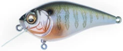 Megabass Knuckle LD Silent Crankbait 2 1/3 Inches -Sport Fishing Shop KNUCKLE LD Secret Gill