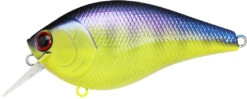 Lucky Craft LC 2.5 Shallow Squarebill Crankbait -Sport Fishing Shop LC 2 5 136TOGL