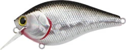Lucky Craft LC 2.5 Shallow Squarebill Crankbait -Sport Fishing Shop LC 2 5 419BPGSN