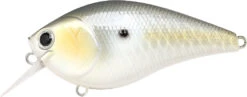 Lucky Craft LC 2.5 Shallow Squarebill Crankbait -Sport Fishing Shop LC 2 5 426GTFSD