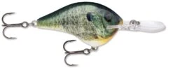 Rapala DT Series Crankbait DT14 -Sport Fishing Shop Live Bluegill 54b3cb75 ad99 48aa b0bf acb677e159ab